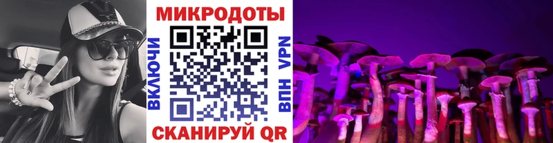 Псилоцибиновые грибы GOLDEN TEACHER Нестеров